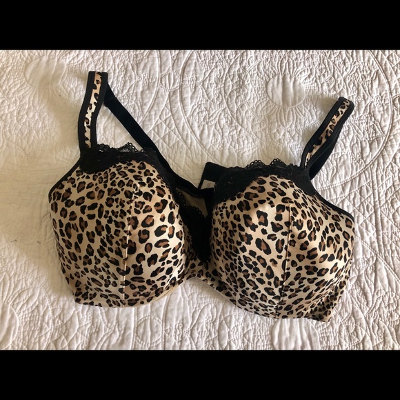Cacique Other - Animal Print Bra Cacique Other - Animal Print Bra